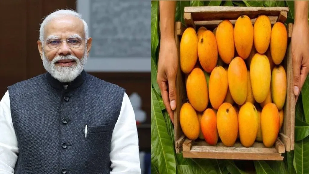 कोकणचा हापूस पोहोचणार दिल्लीच्या जिभेवर; पंतप्रधान नरेंद्र मोदी यांच्या हस्ते ‘आंबा महोत्सव’ाचे उद्घाटन उन्हाळा आणि आंबा हे समीकरण तितकंच गोड! कोकणातील देवगड व रत्नागिरीचा हापूस आंबा केवळ महाराष्ट्रातच नव्हे, तर संपूर्ण देशात आणि परदेशातसुद्धा मोठ्या कौतुकाने खाल्ला जातो. आता हा खास हापूस आंबा दिल्लीतील नागरिकांनाही चाखायला मिळणार आहे. राजधानी दिल्लीत 30 एप्रिलपासून ‘आंबा महोत्सव’ाचे आयोजन करण्यात आले असून, याचे उद्घाटन खुद्द पंतप्रधान नरेंद्र मोदी यांच्या हस्ते होणार आहे.