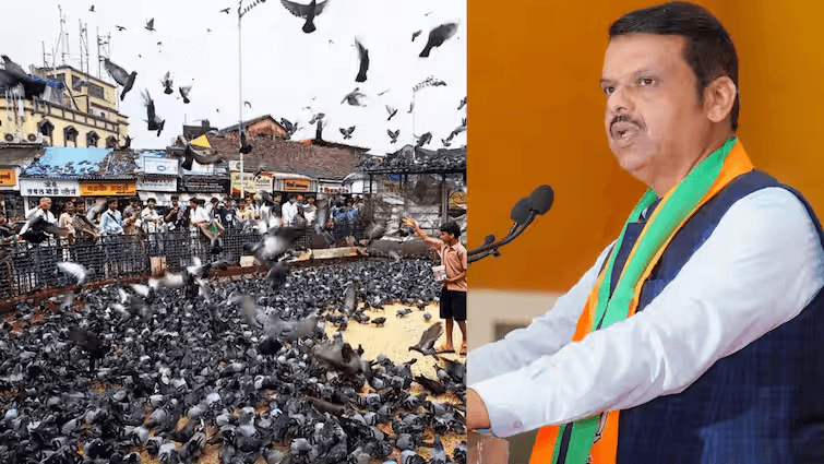 Devendra Fadnavis on Mumbai Kabutar Khana: मुंबई कबुतरखाना प्रकरणावर मुख्यमंत्र्यांची मध्यस्थी; कारवाईचा वेग मंदावण्याची शक्यता मुंबई उच्च न्यायालयाच्या आदेशानंतर सुरू झालेल्या कबुतरखान्यांविरोधातील कारवाईचा वेग आता कमी होण्याची शक्यता आहे. मुख्यमंत्री देवेंद्र फडणवीस यांनी मंगळवारी झालेल्या बैठकीत कबुतरखाने अचानक बंद करणे योग्य नसल्याचे मत मांडले.